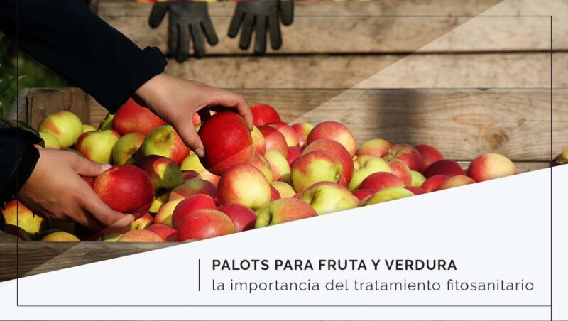 Palots para fruta y verdura: la importancia del tratamiento fitosanitario
