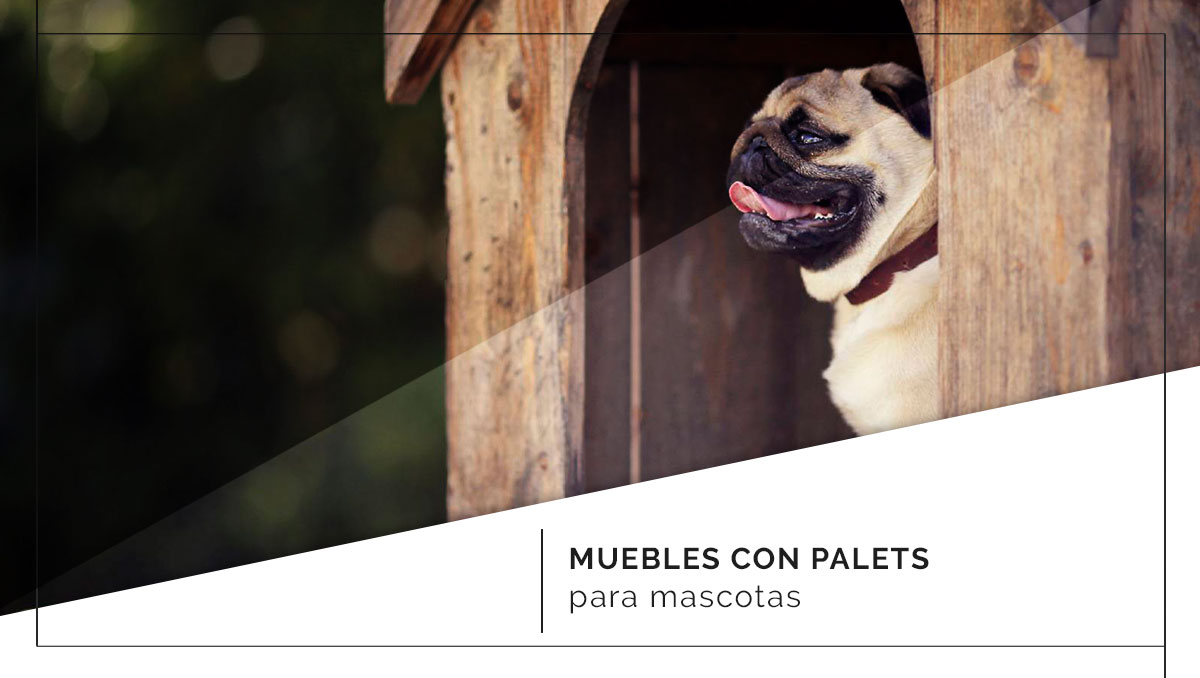 Muebles fabricados con palets para tus mascotas