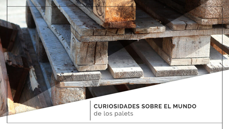 Curiosidades sobre el mundo de los palets