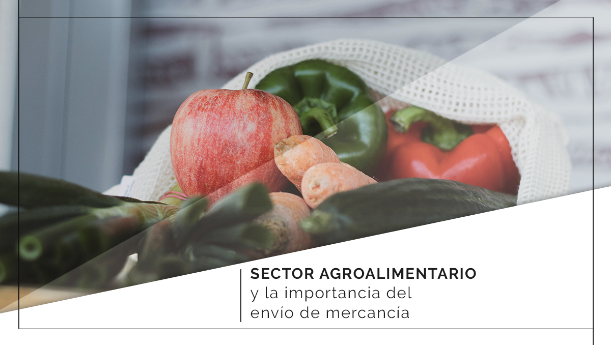 sector agroalimentario y la importancia dle envío de mercancía en palets Blog Itepal itepal.com sector agroalimentario y la importancia dle envío de mercancía en palets Blog Itepal itepal.com