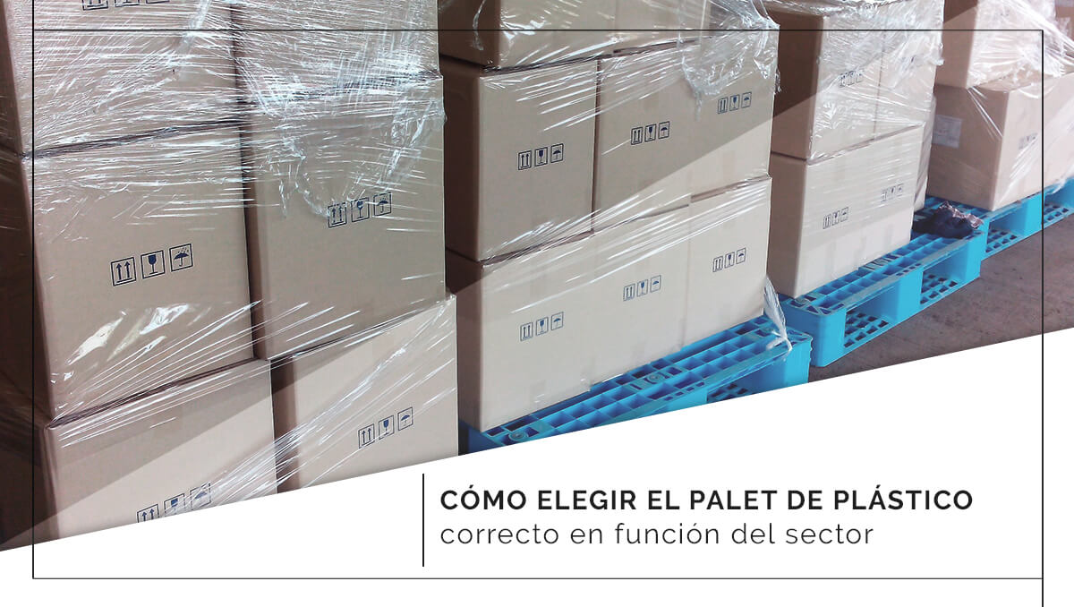 Cómo elegir el palet de plástico correcto en función del sector Cómo elegir el palet de plástico correcto en función del sector