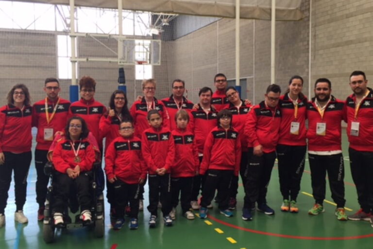 fábrica de palets de madera