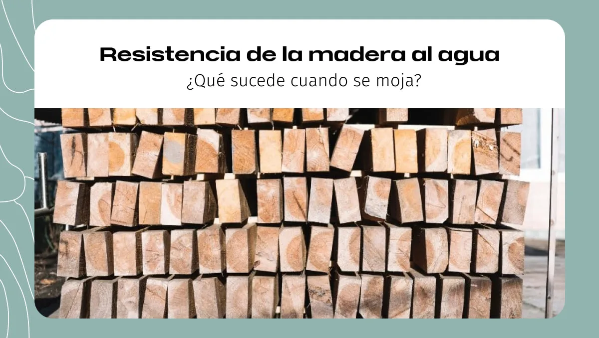Resistencia de la madera agua: ¿Qué Sucede Cuando se Moja? Resistencia de la madera agua: ¿Qué Sucede Cuando se Moja?