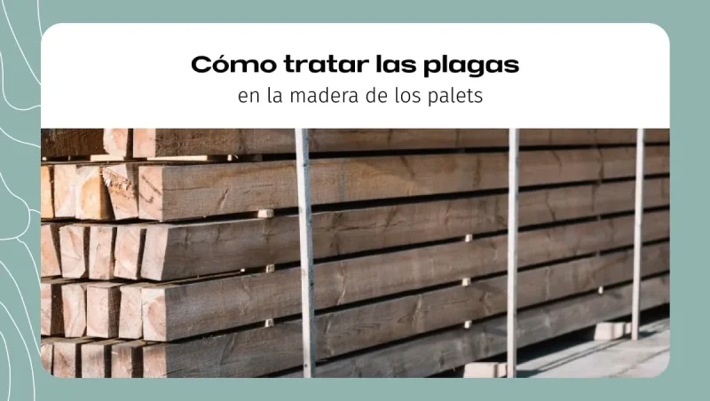 Cómo tratar las plagas en la madera de los palets Cómo tratar las plagas en la madera de los palets