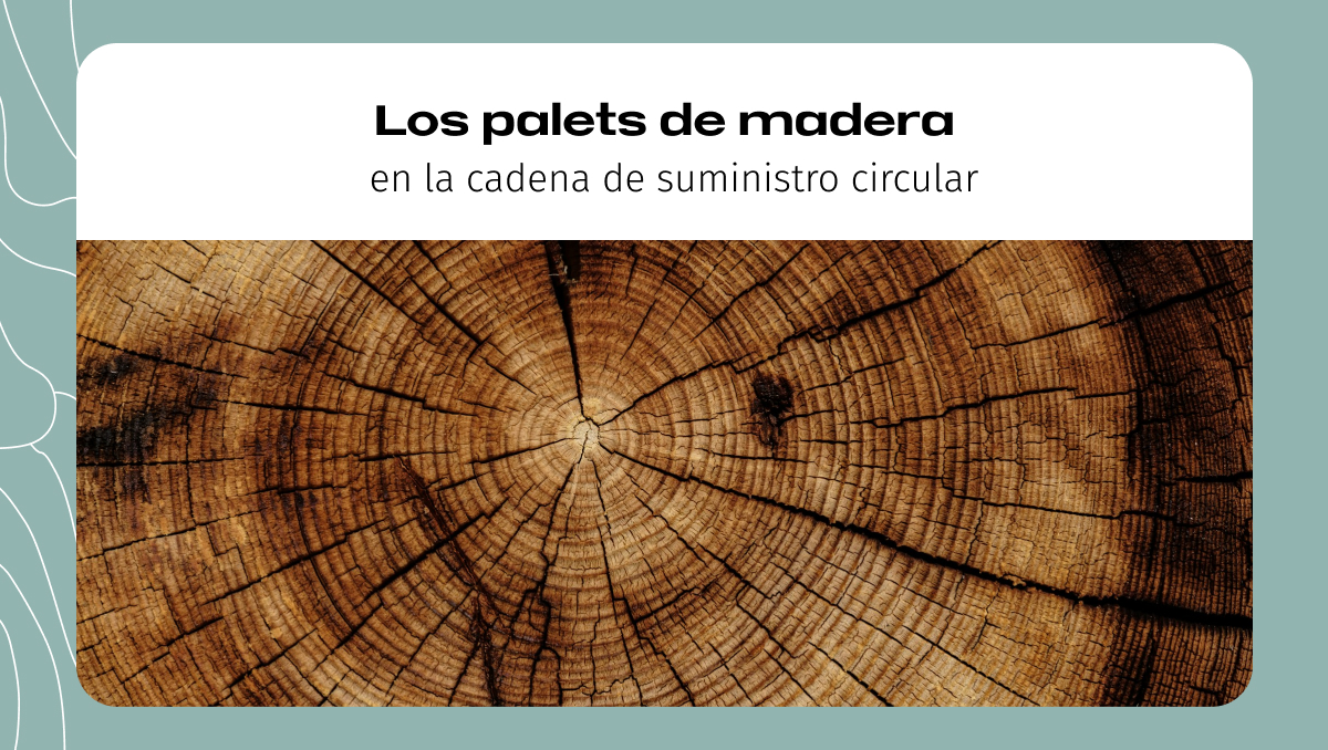 Los palets de madera en la cadena de suministro circular Los palets de madera en la cadena de suministro circular