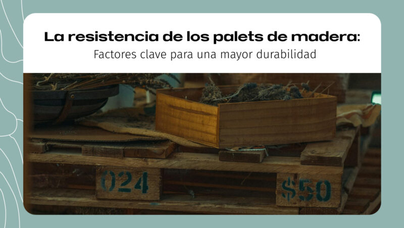 La resistencia de los palets de madera: Factores clave para una mayor durabilidad La resistencia de los palets de madera: Factores clave para una mayor durabilidad
