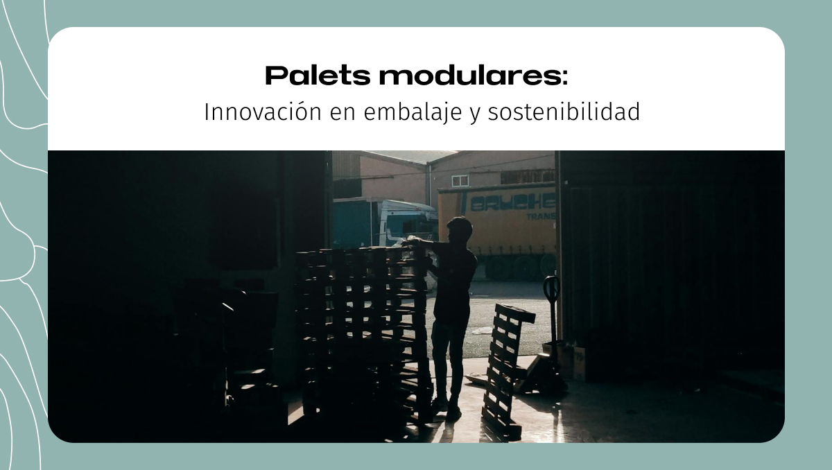 Palets modulares: Innovación en embalaje y sostenibilidad Palets modulares: Innovación en embalaje y sostenibilidad