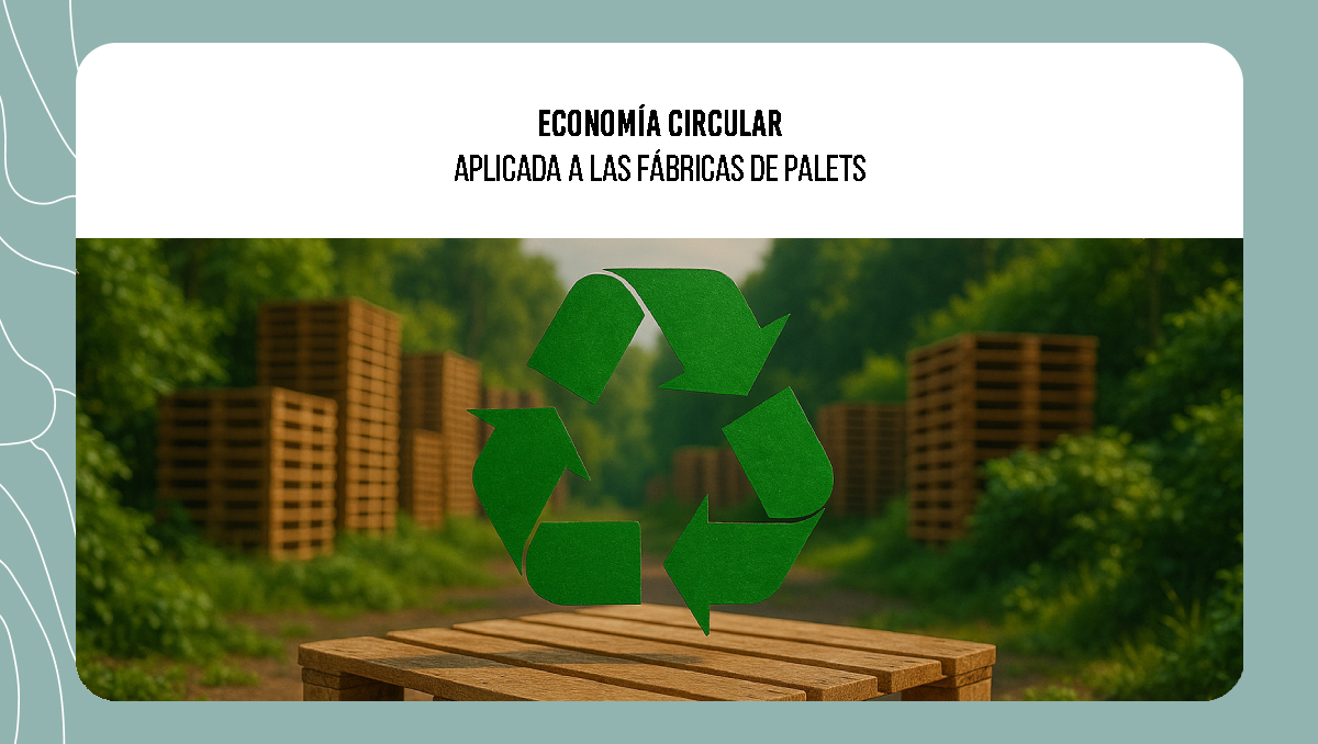 Economía circular aplicada a las fábricas de palets